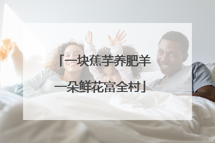 一块蕉芋养肥羊 一朵鲜花富全村