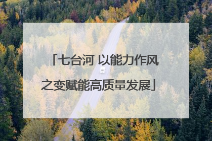七台河 以能力作风之变赋能高质量发展