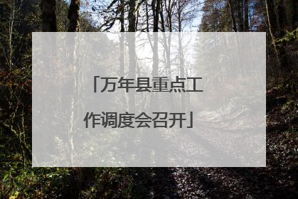 万年县重点工作调度会召开