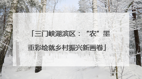 三门峡湖滨区：“农”墨重彩绘就乡村振兴新画卷
