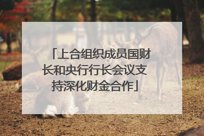 上合组织成员国财长和央行行长会议支持深化财金合作
