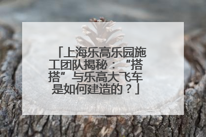 上海乐高乐园施工团队揭秘：“搭搭”与乐高大飞车是如何建造的？