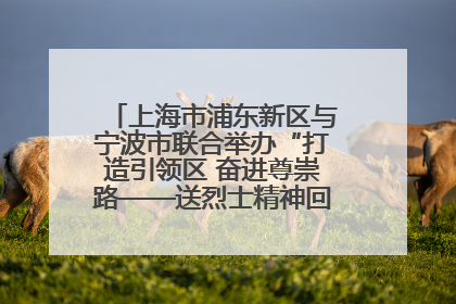 上海市浦东新区与宁波市联合举办“打造引领区 奋进尊崇路——送烈士精神回家乡”主题活动