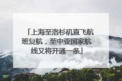 上海至洛杉矶直飞航班复航，至中亚国家航线又将开通一条