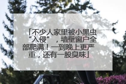 不少人家里被小黑虫“入侵”，墙壁窗户全部爬满！一到晚上更严重，还有一股臭味