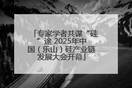专家学者共谋“硅”途 2025年中国（乐山）硅产业链发展大会开幕