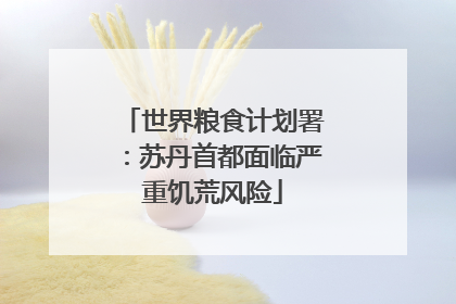 世界粮食计划署：苏丹首都面临严重饥荒风险