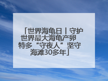 世界海龟日丨守护世界最大海龟产卵 特多“守夜人”坚守海滩30多年