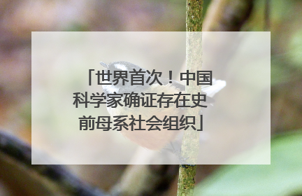 世界首次！中国科学家确证存在史前母系社会组织