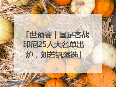 世预赛｜国足客战印尼25人大名单出炉，刘若钒落选