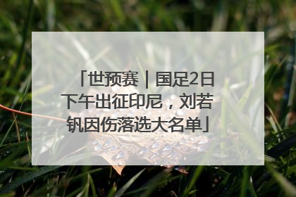 世预赛｜国足2日下午出征印尼，刘若钒因伤落选大名单