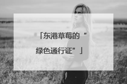 东港草莓的“绿色通行证”