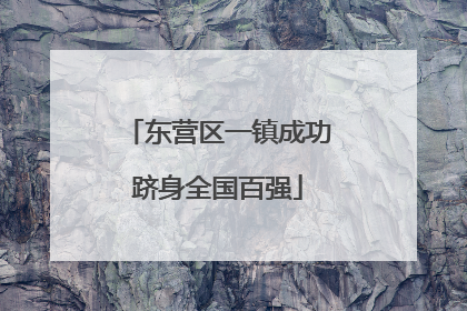 东营区一镇成功跻身全国百强