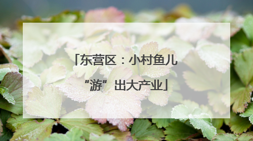 东营区：小村鱼儿“游”出大产业