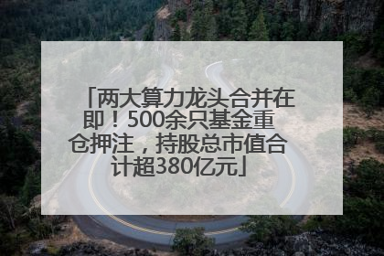 两大算力龙头合并在即！500余只基金重仓押注，持股总市值合计超380亿元