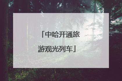 中哈开通旅游观光列车