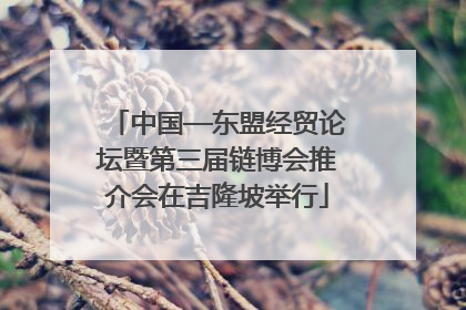 中国—东盟经贸论坛暨第三届链博会推介会在吉隆坡举行