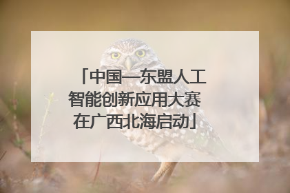 中国—东盟人工智能创新应用大赛在广西北海启动