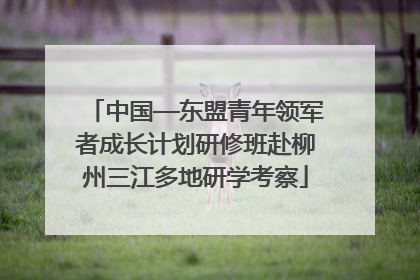 中国—东盟青年领军者成长计划研修班赴柳州三江多地研学考察