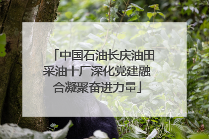 中国石油长庆油田采油十厂深化党建融合凝聚奋进力量