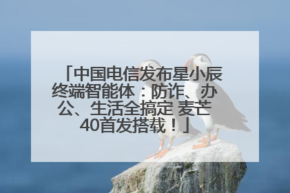中国电信发布星小辰终端智能体：防诈、办公、生活全搞定 麦芒40首发搭载！