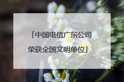 中国电信广东公司荣获全国文明单位