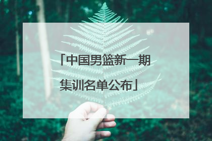 中国男篮新一期集训名单公布