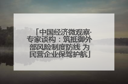 中国经济微观察·专家谈构：筑抵御外部风险制度防线 为民营企业保驾护航