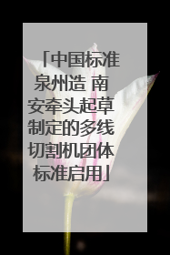 中国标准泉州造 南安牵头起草制定的多线切割机团体标准启用