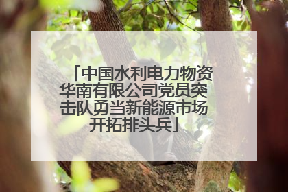 中国水利电力物资华南有限公司党员突击队勇当新能源市场开拓排头兵