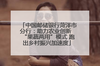 中国邮储银行菏泽市分行：助力农业创新 “果蔬两用”模式 跑出乡村振兴加速度