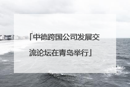 中德跨国公司发展交流论坛在青岛举行