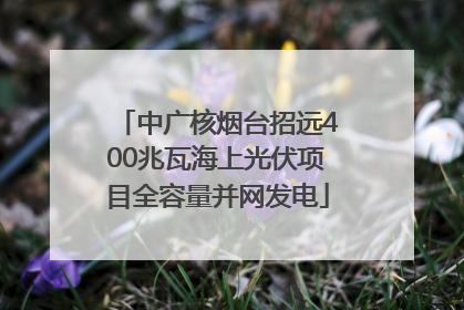 中广核烟台招远400兆瓦海上光伏项目全容量并网发电