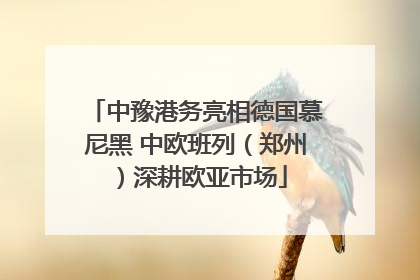 中豫港务亮相德国慕尼黑 中欧班列（郑州）深耕欧亚市场
