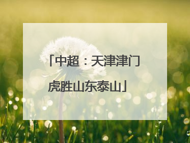 中超：天津津门虎胜山东泰山