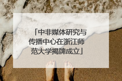 中非媒体研究与传播中心在浙江师范大学揭牌成立