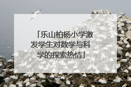 乐山柏杨小学激发学生对数学与科学的探索热情