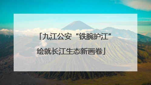 九江公安“铁腕护江”绘就长江生态新画卷