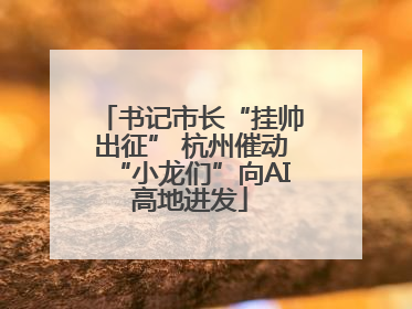 书记市长“挂帅出征” 杭州催动“小龙们”向AI高地进发
