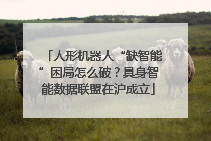 人形机器人“缺智能”困局怎么破？具身智能数据联盟在沪成立