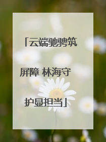 云端驰骋筑屏障 林海守护显担当