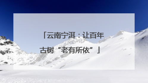 云南宁洱：让百年古树“老有所依”