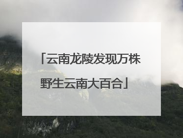 云南龙陵发现万株野生云南大百合