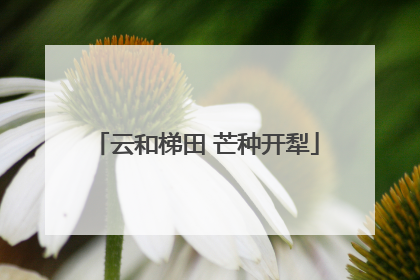 云和梯田 芒种开犁