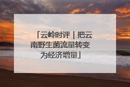 云岭时评｜把云南野生菌流量转变为经济增量