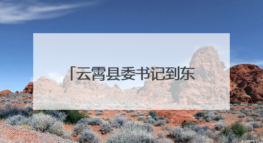 云霄县委书记到东厦镇调研党建引领乡村振兴等重点工作