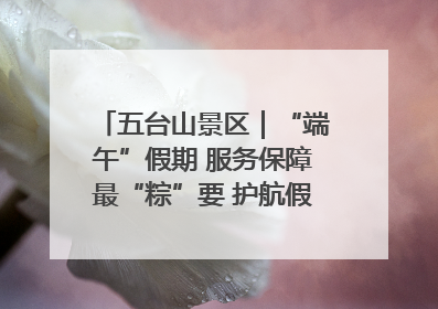 五台山景区｜“端午”假期 服务保障最“粽”要 护航假期“不打烊”