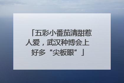 五彩小番茄清甜惹人爱，武汉种博会上好多“尖板眼”