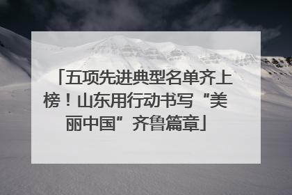 五项先进典型名单齐上榜！山东用行动书写“美丽中国”齐鲁篇章