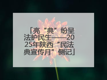 亮“典”纷呈 法护民生——2025年陕西“民法典宣传月”侧记